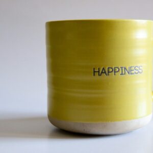 A yellow coffee mug with the words happiness written on it
